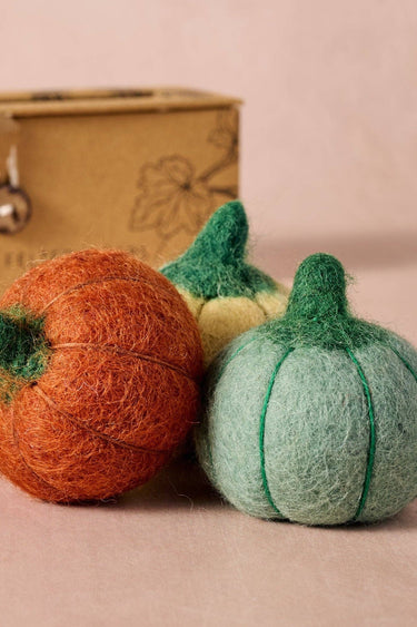 Sapha Pumpkin Felted Soaps
